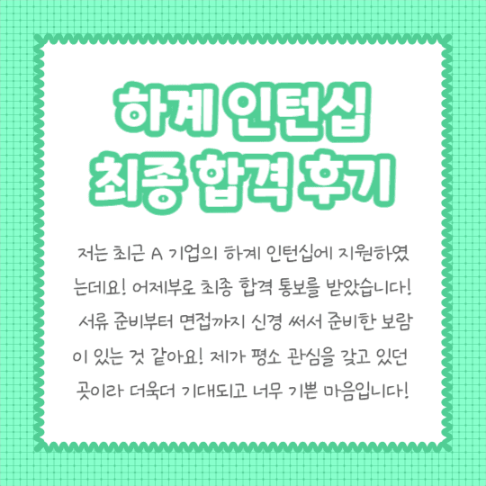 하계 인턴십 합격후기 (카드뉴스)