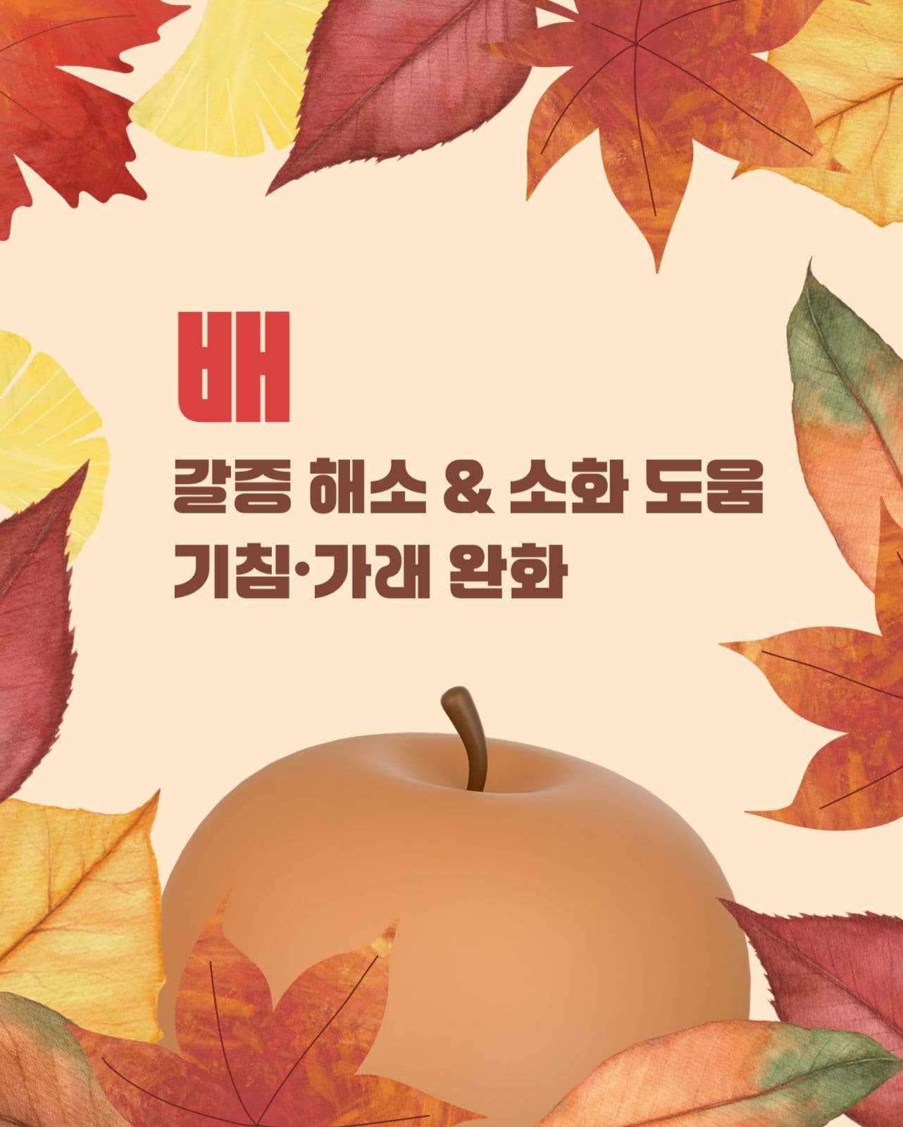 가을 과일 카드뉴스