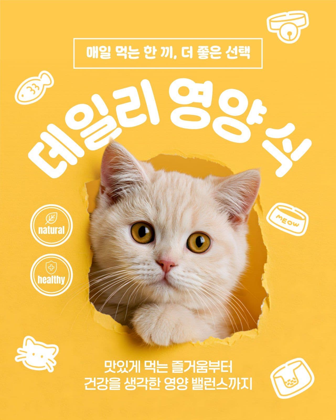 펫간식
