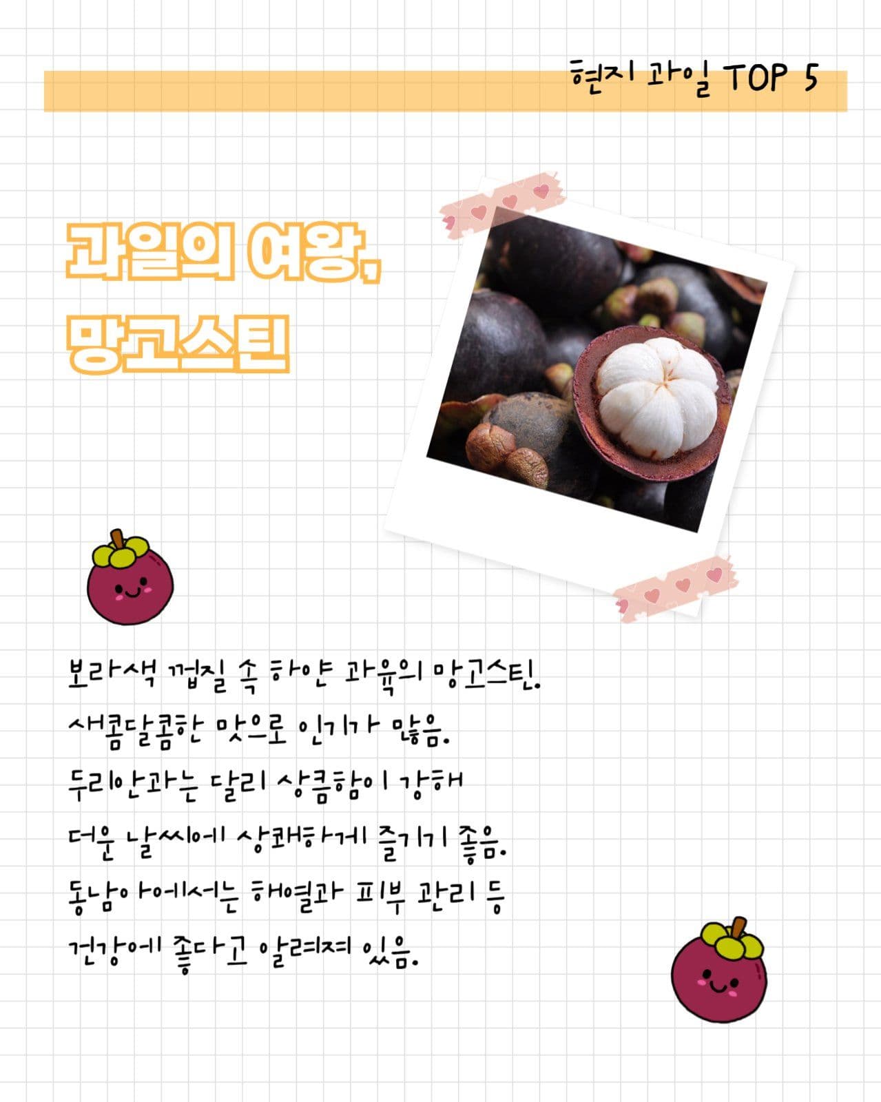 여행지 현지 과일 소개 세로 카드뉴스