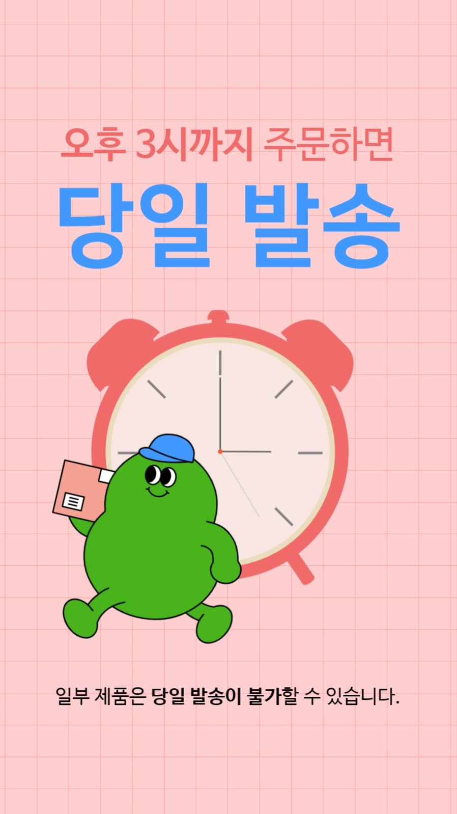 배송 안내 당일 발송