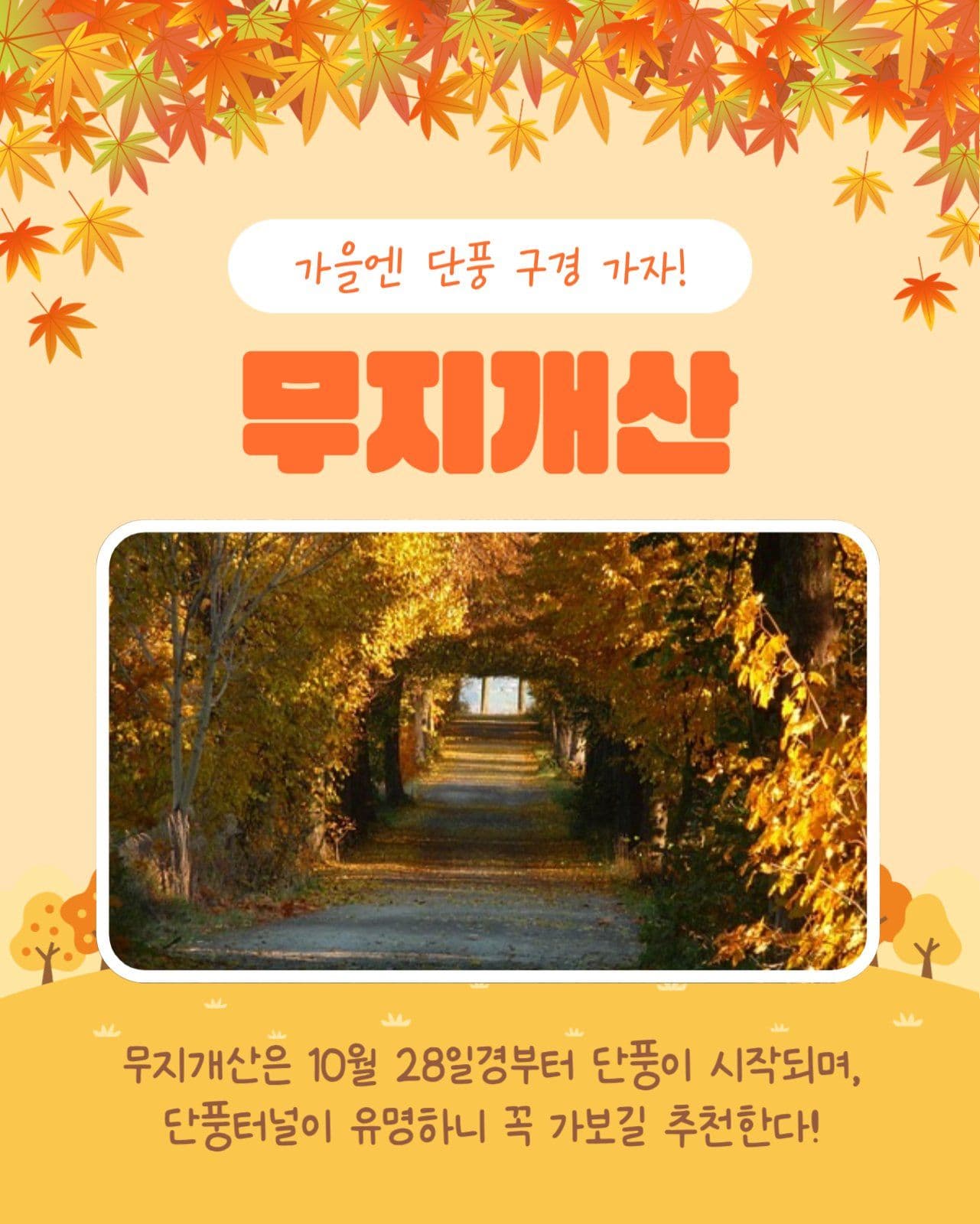 단풍명소 알아보기 카드뉴스