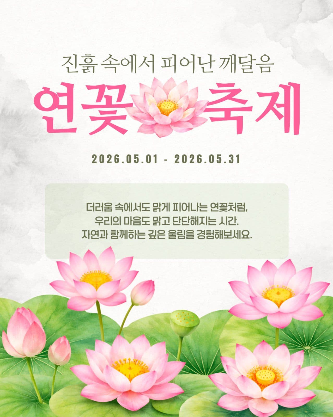 부처님 오신날 연꽃축제
