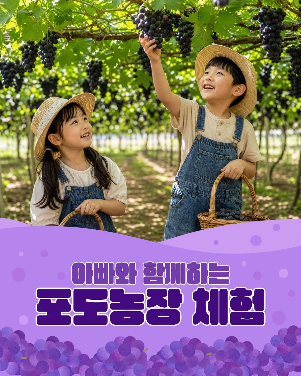 포도농장 체험활동