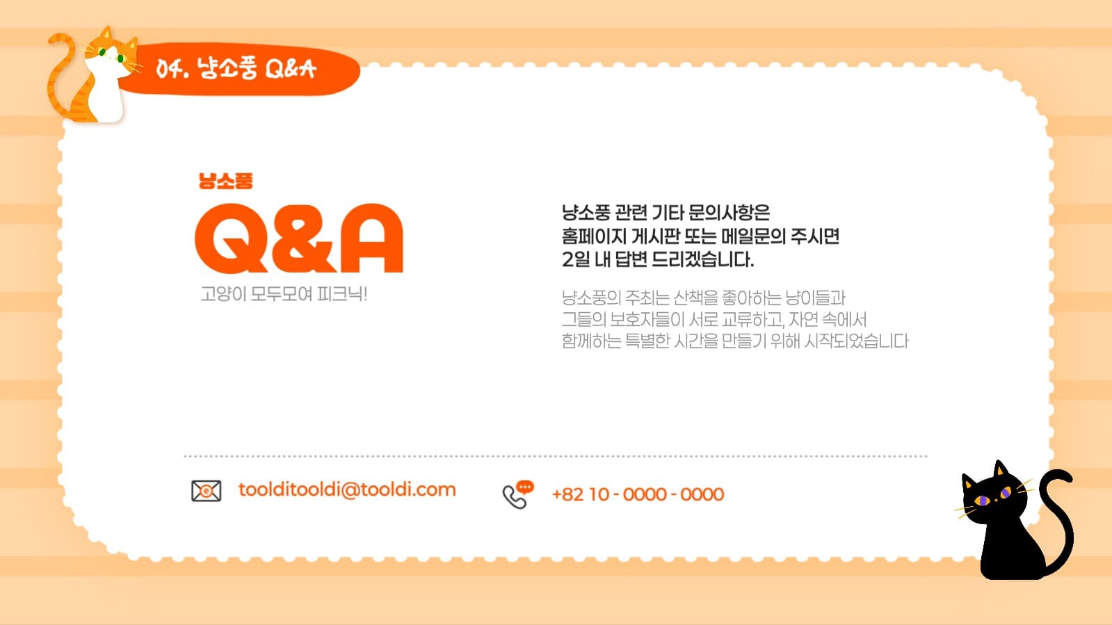 고양이 모두모여 냥소풍!