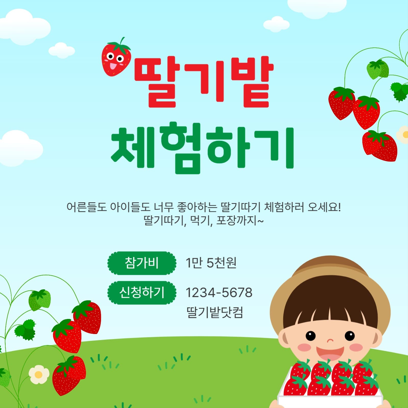 딸기밭체험하기