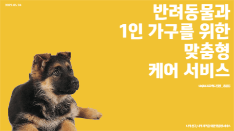 반려동물 케어 서비스 발표 프레젠테션