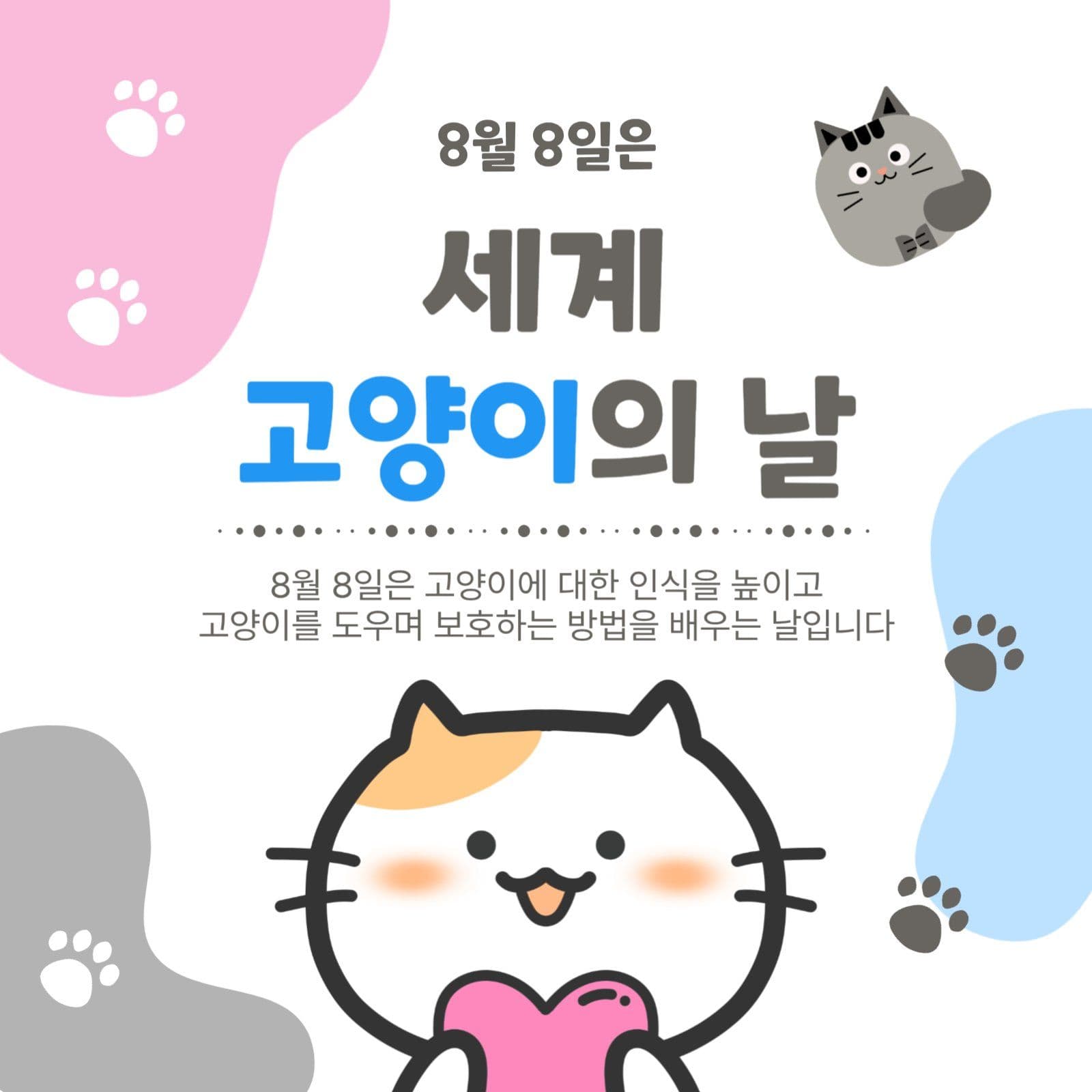 고양이의날
