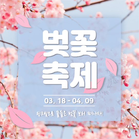 벚꽃축제