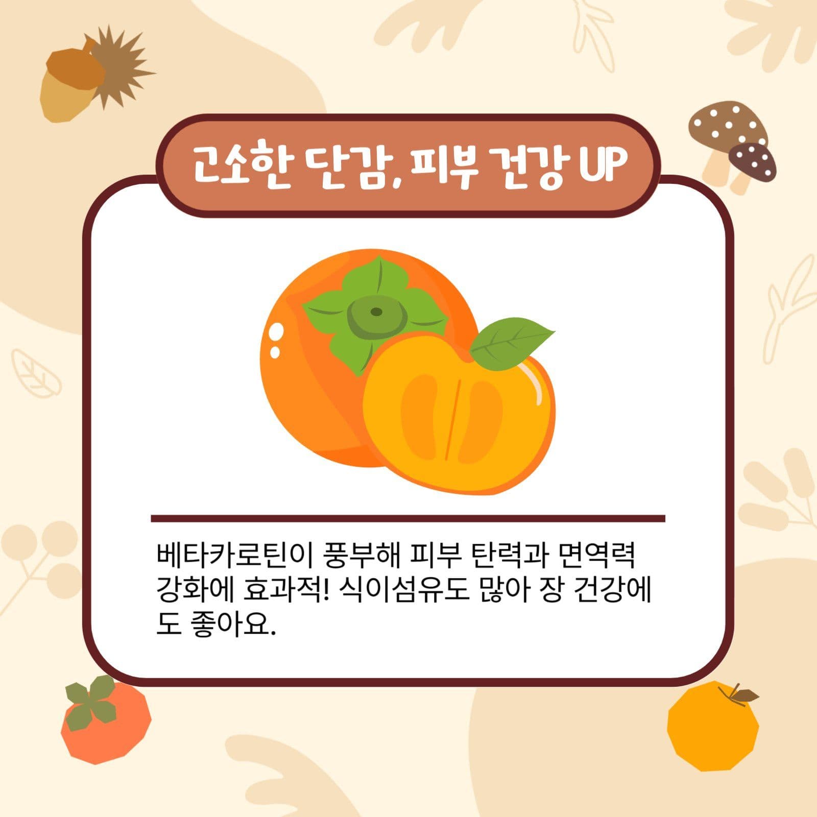 제철음식 카드뉴스