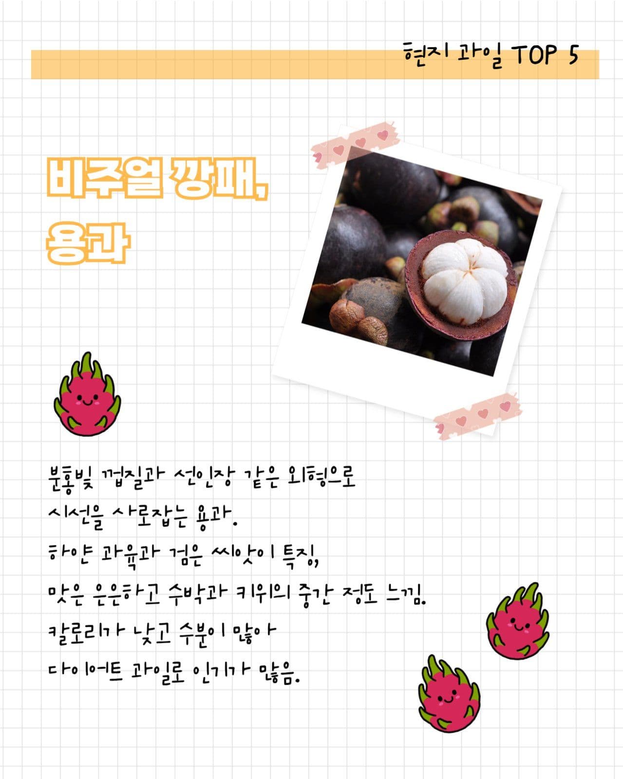 여행지 현지 과일 소개 세로 카드뉴스