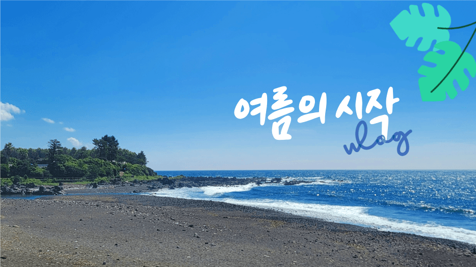 여름의 시작