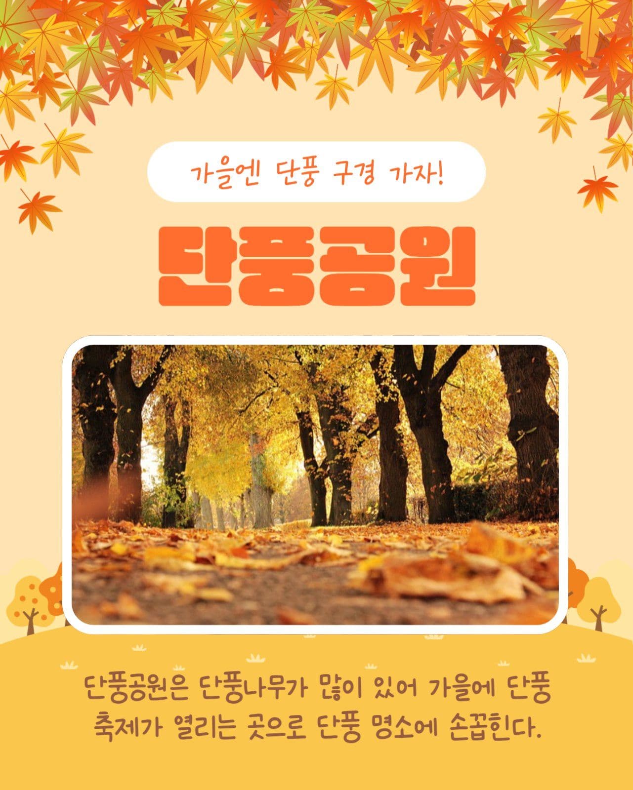 단풍명소 알아보기 카드뉴스