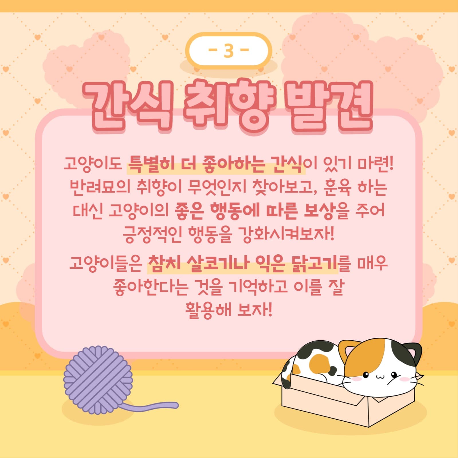 반려묘 템플릿