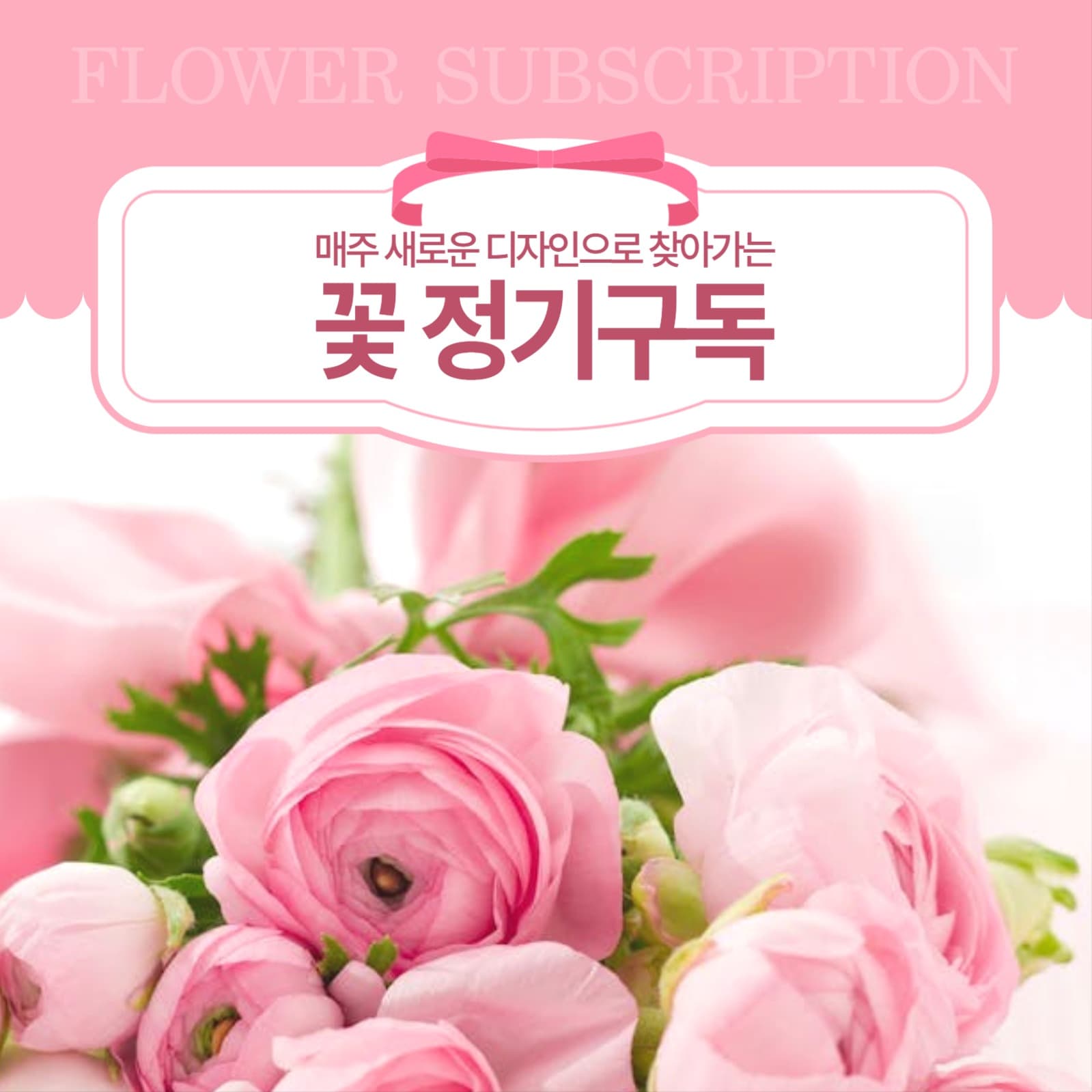 꽃 정기구독