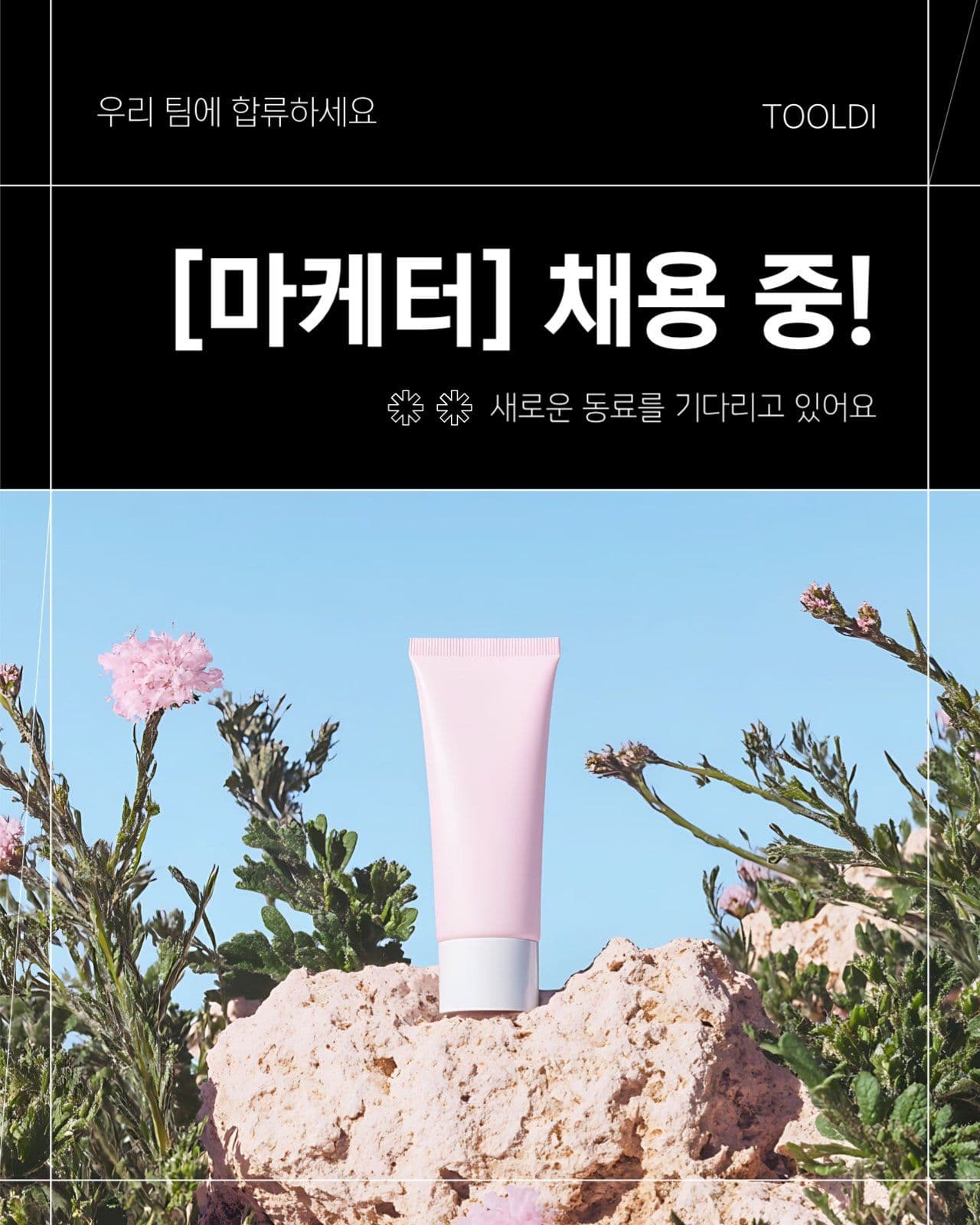 사진형 채용공고