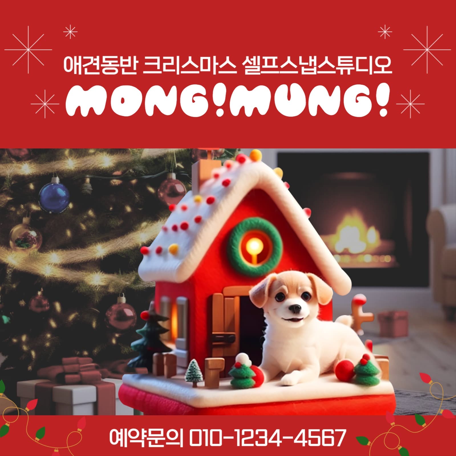 애견동반 셀프스냅스튜디오