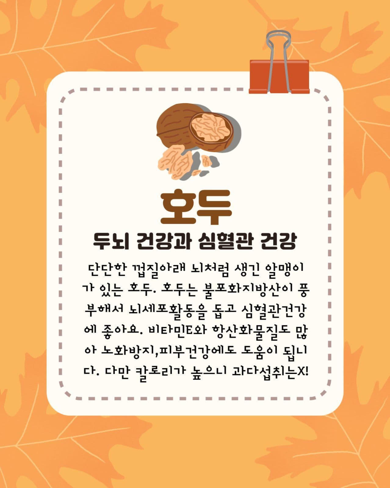 가을 먹거리 카드뉴스