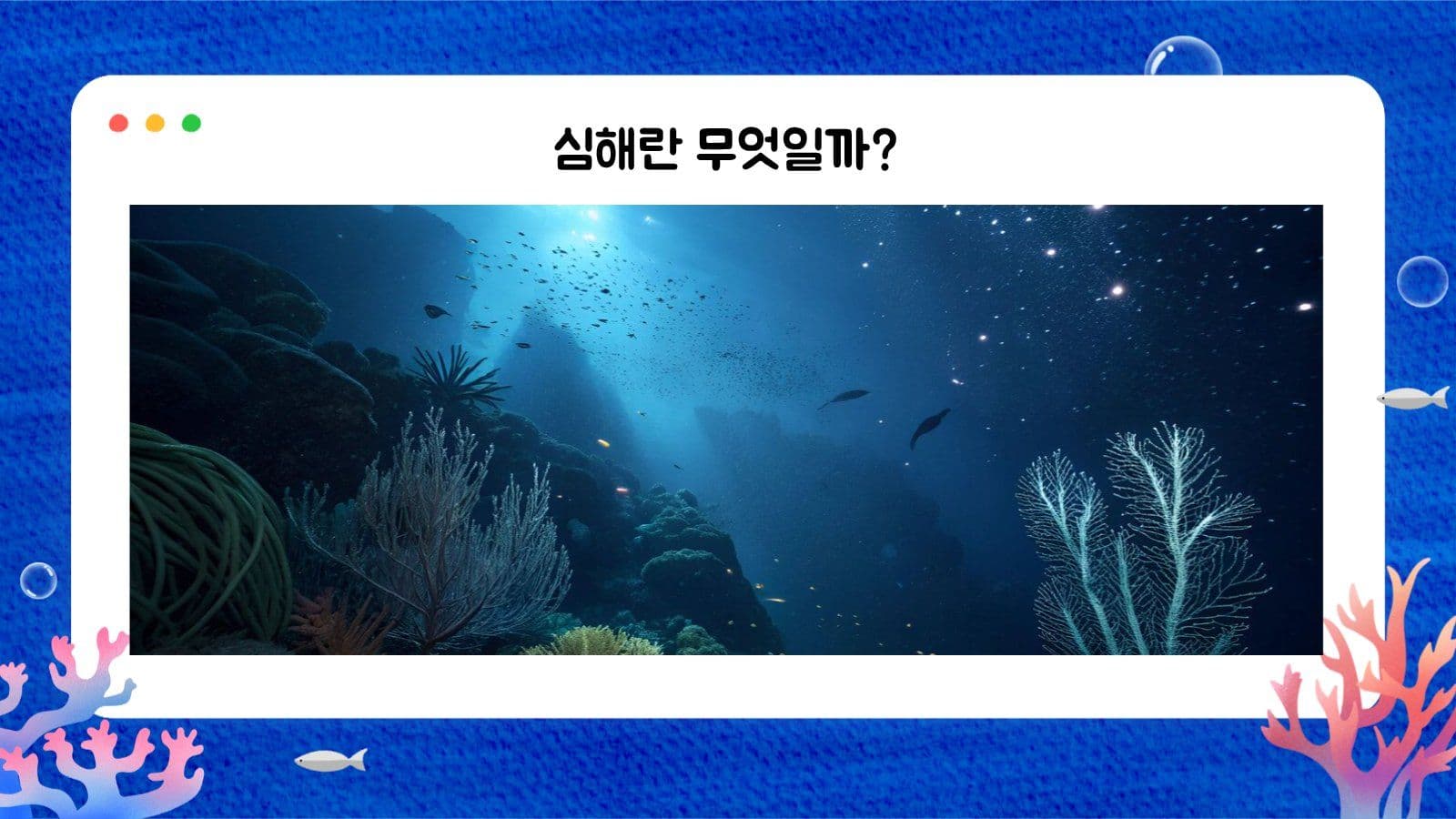 산호초 해양생물 교육자료