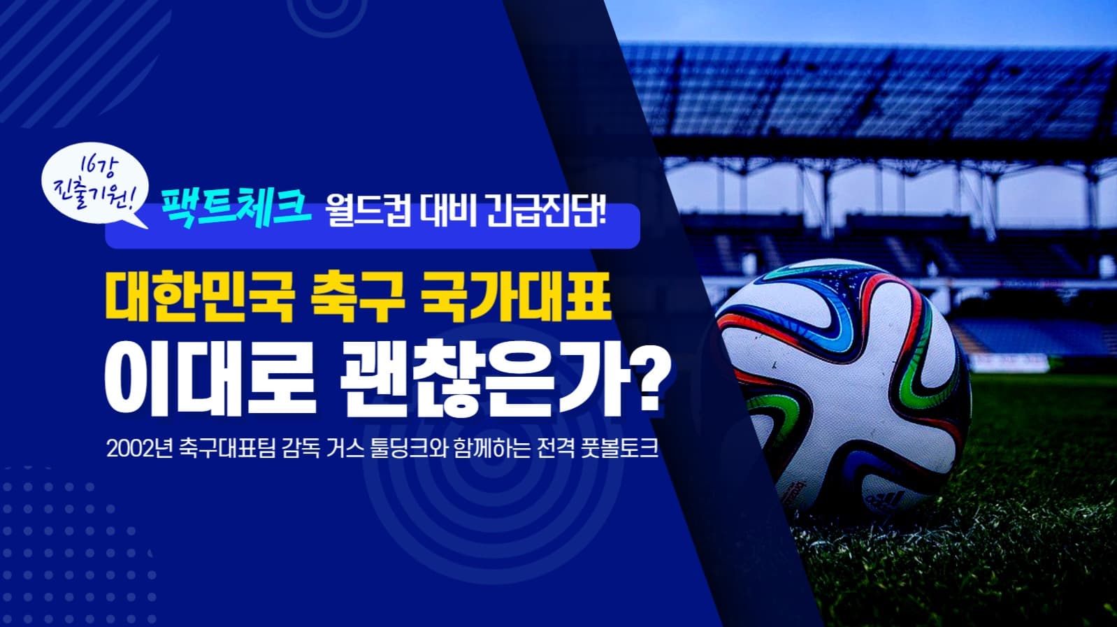 팩트체크 긴급진단 축구 국가대표