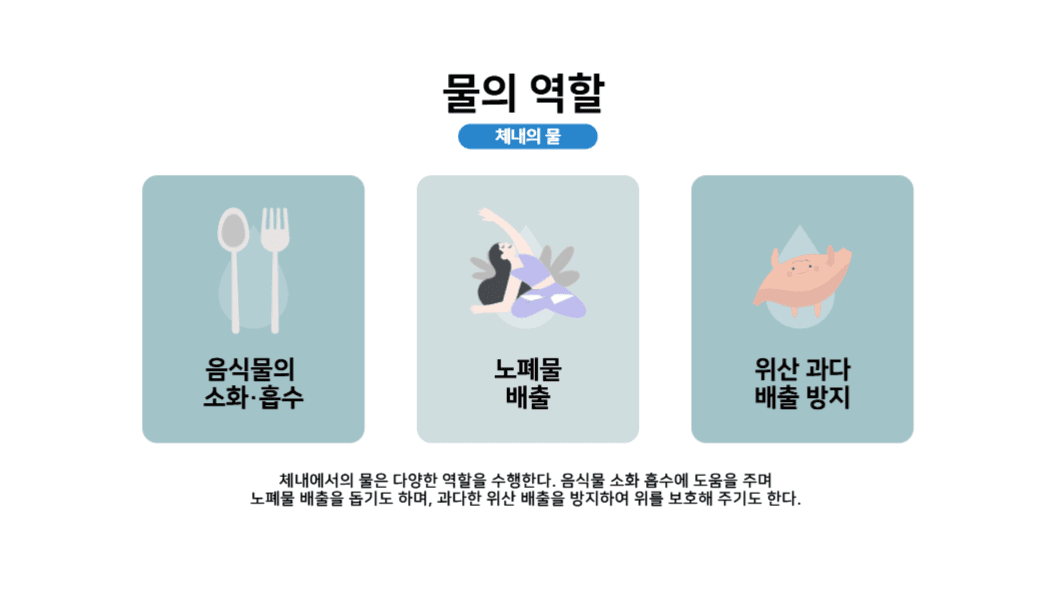 발표피피티_물과 건강의 상관관계