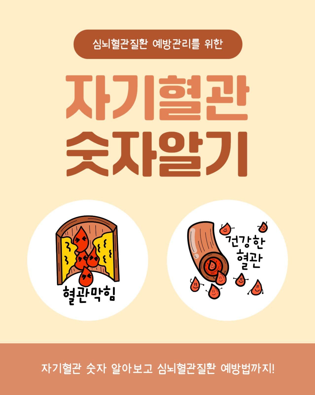자기혈관 숫자알기 카드뉴스