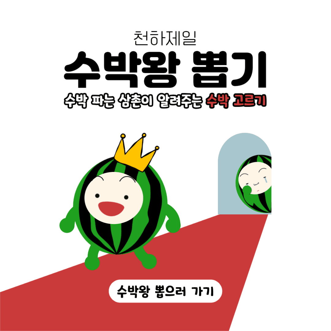 수박 고르기 인스타