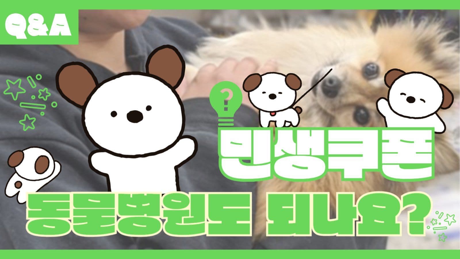 민생쿠폰 동물병원