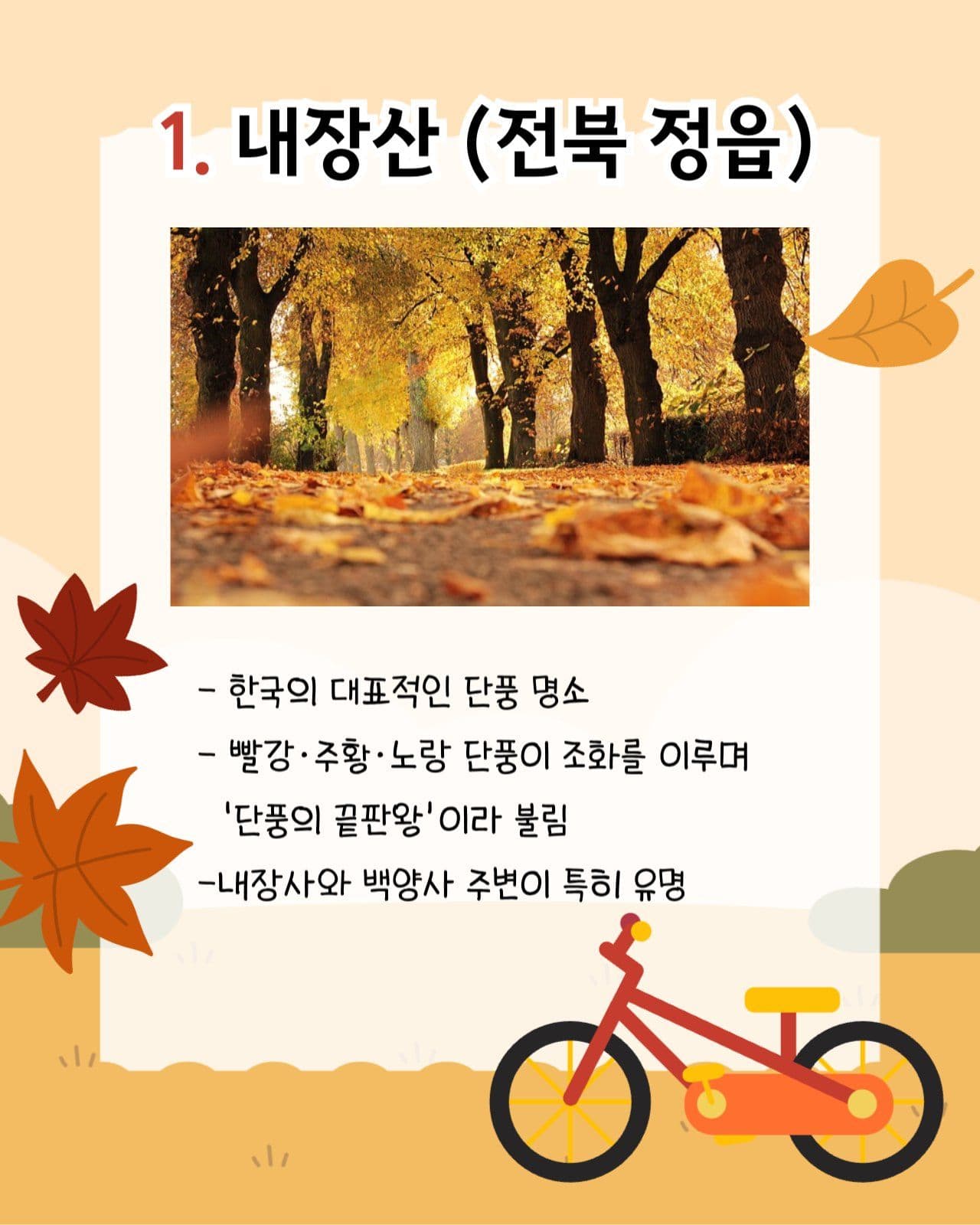 가을 단풍 국내 여행지 추천 카드뉴스