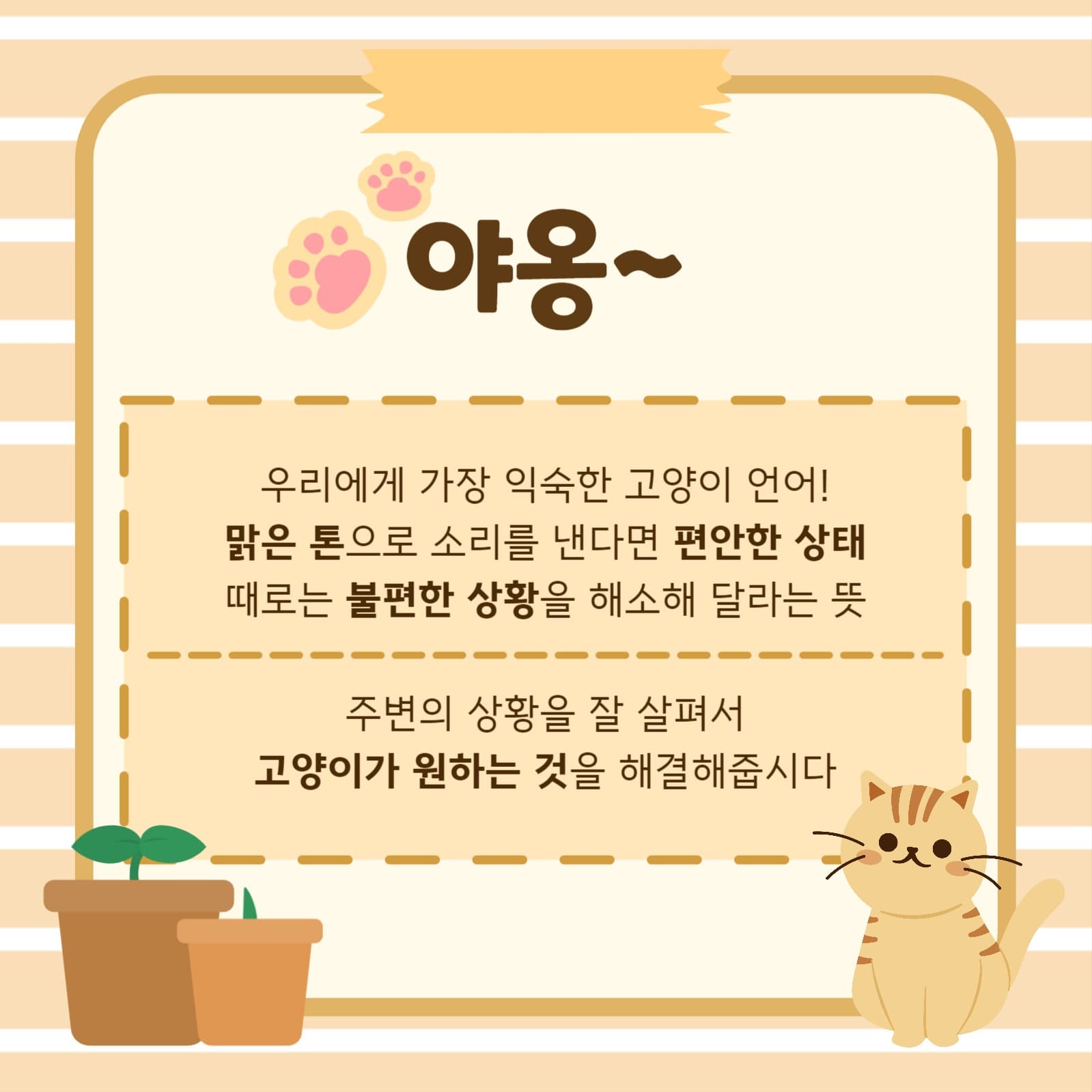 고양이 언어 완벽정리 카드뉴스
