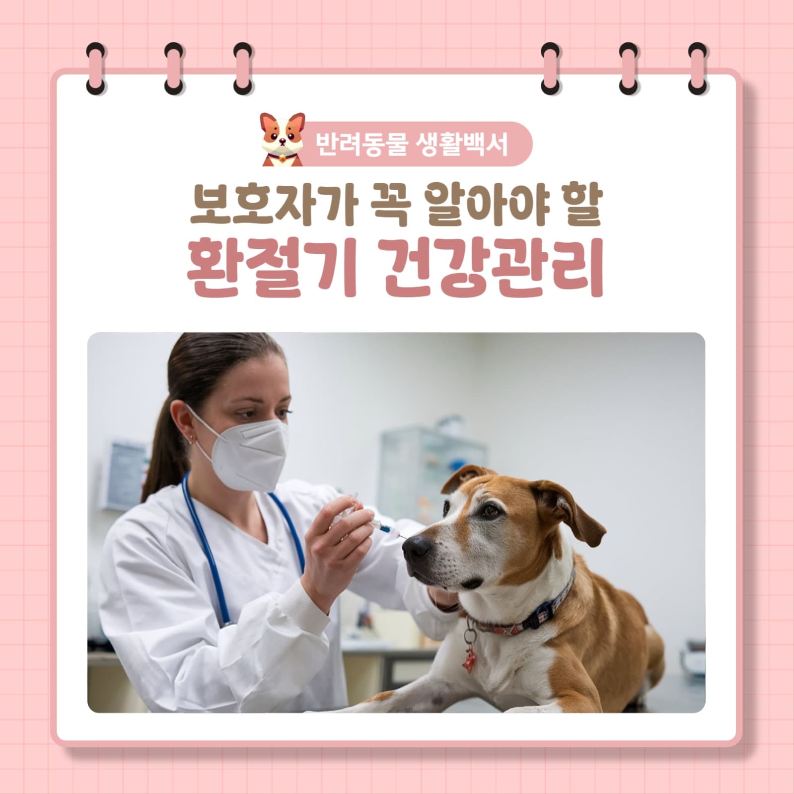 반려동물 환절기 건강관리