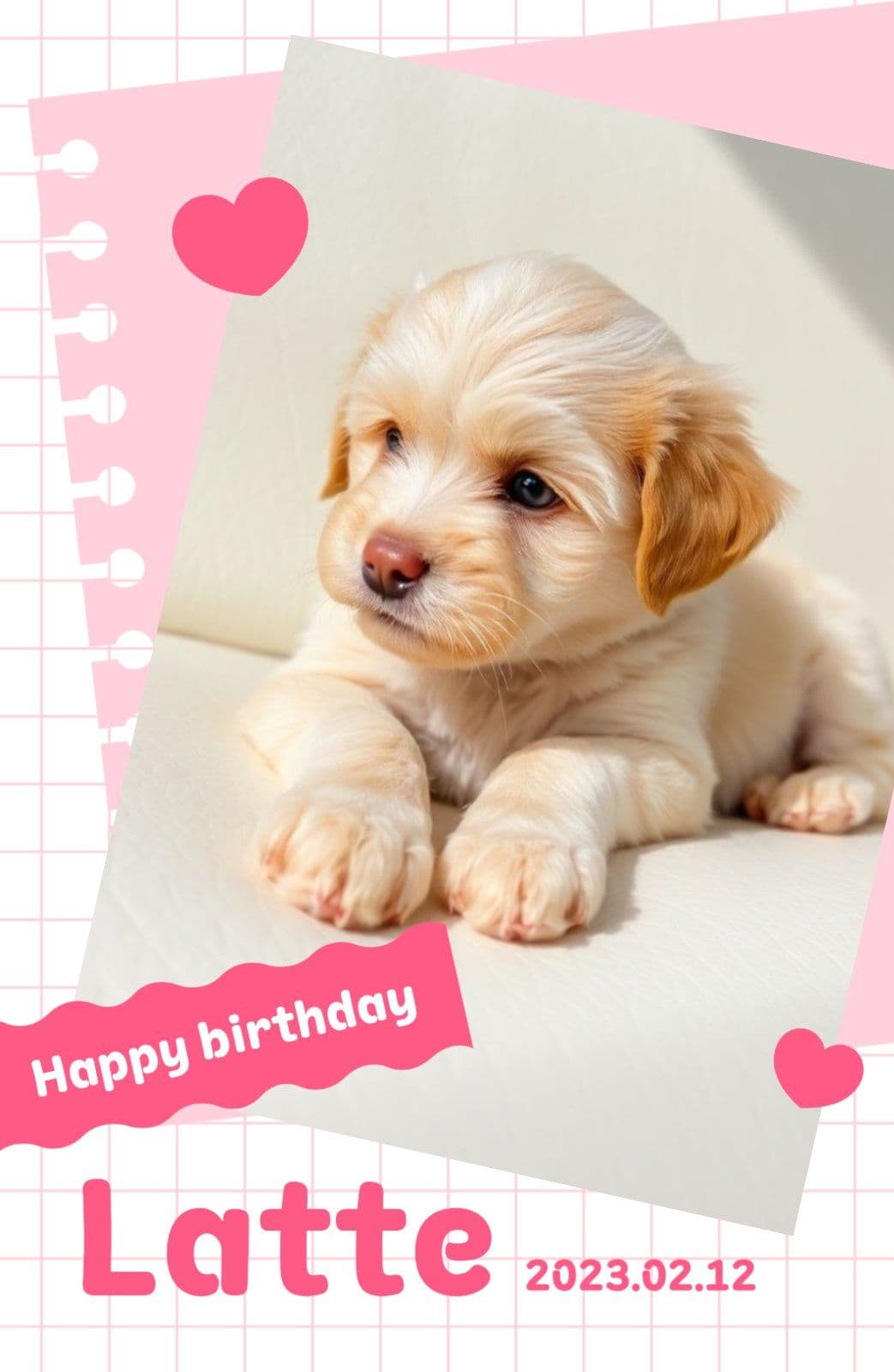 강아지 생일 포토카드