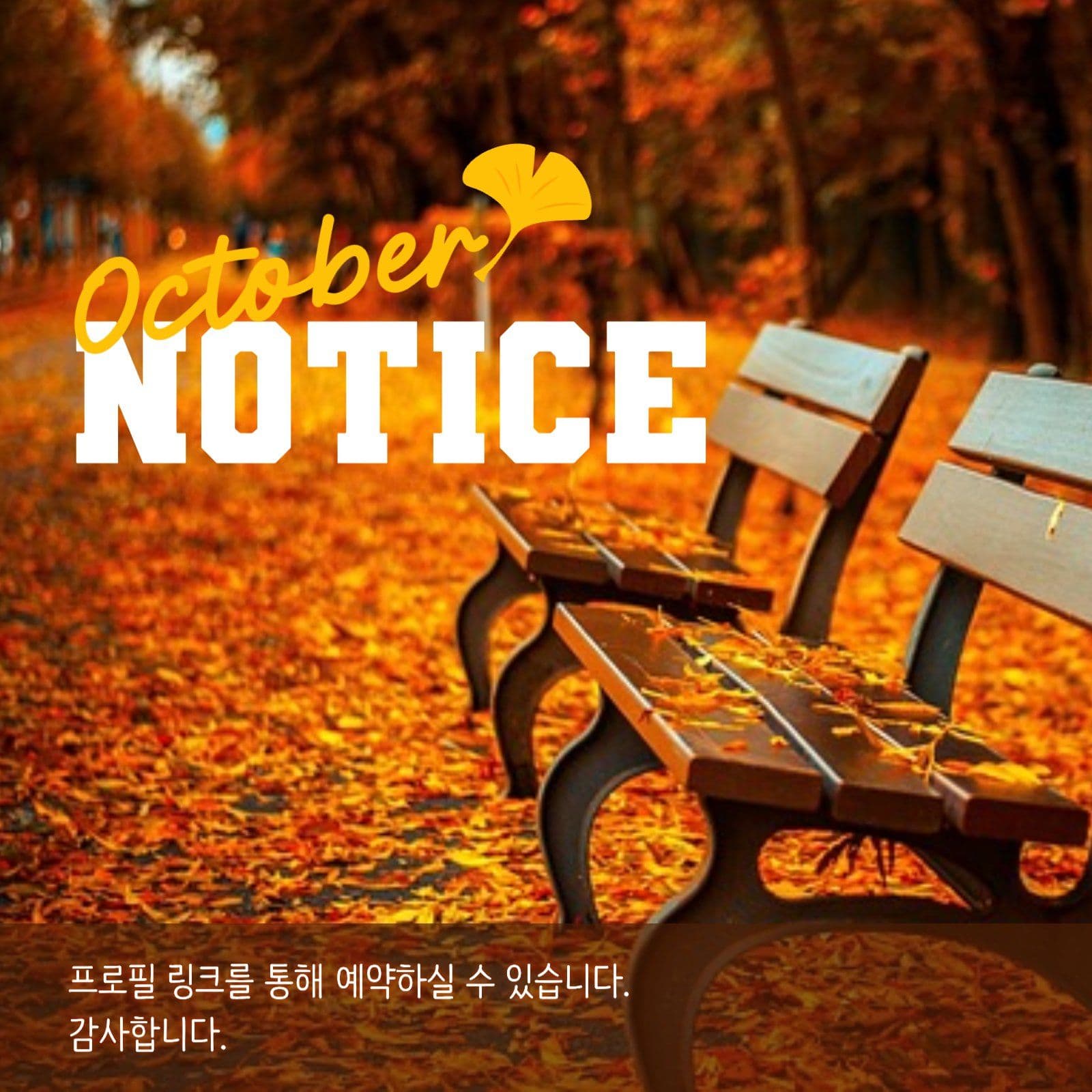 10월 예약 안내 게시물