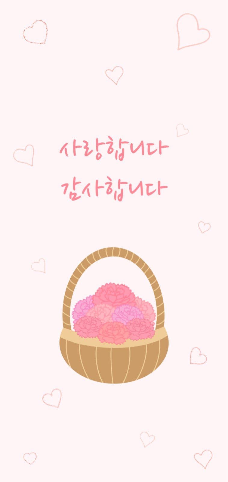 카네이션 배경화면