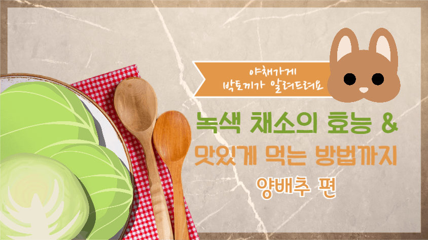 야채가게 박토끼 유튜브