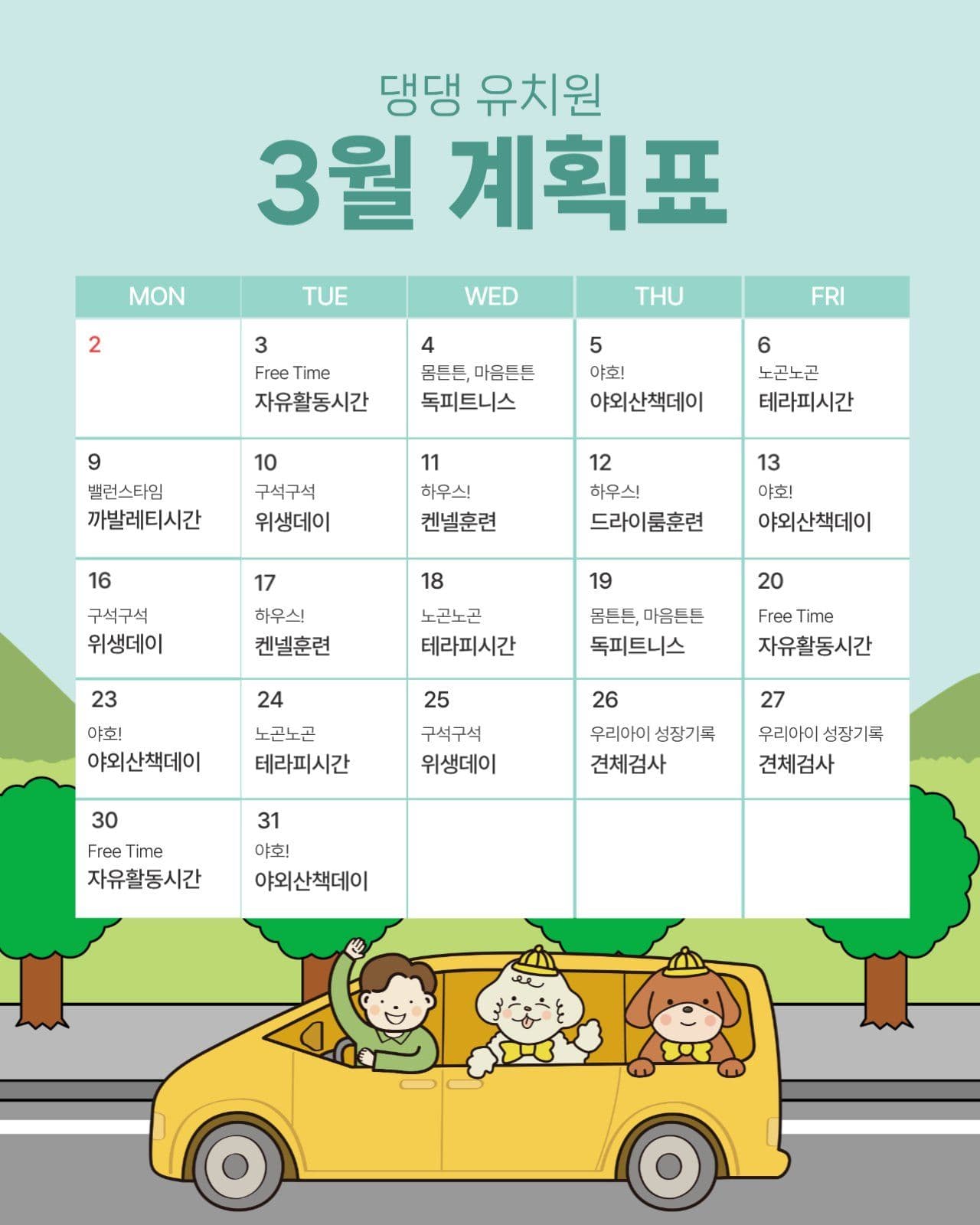 애견 유치원 일정표