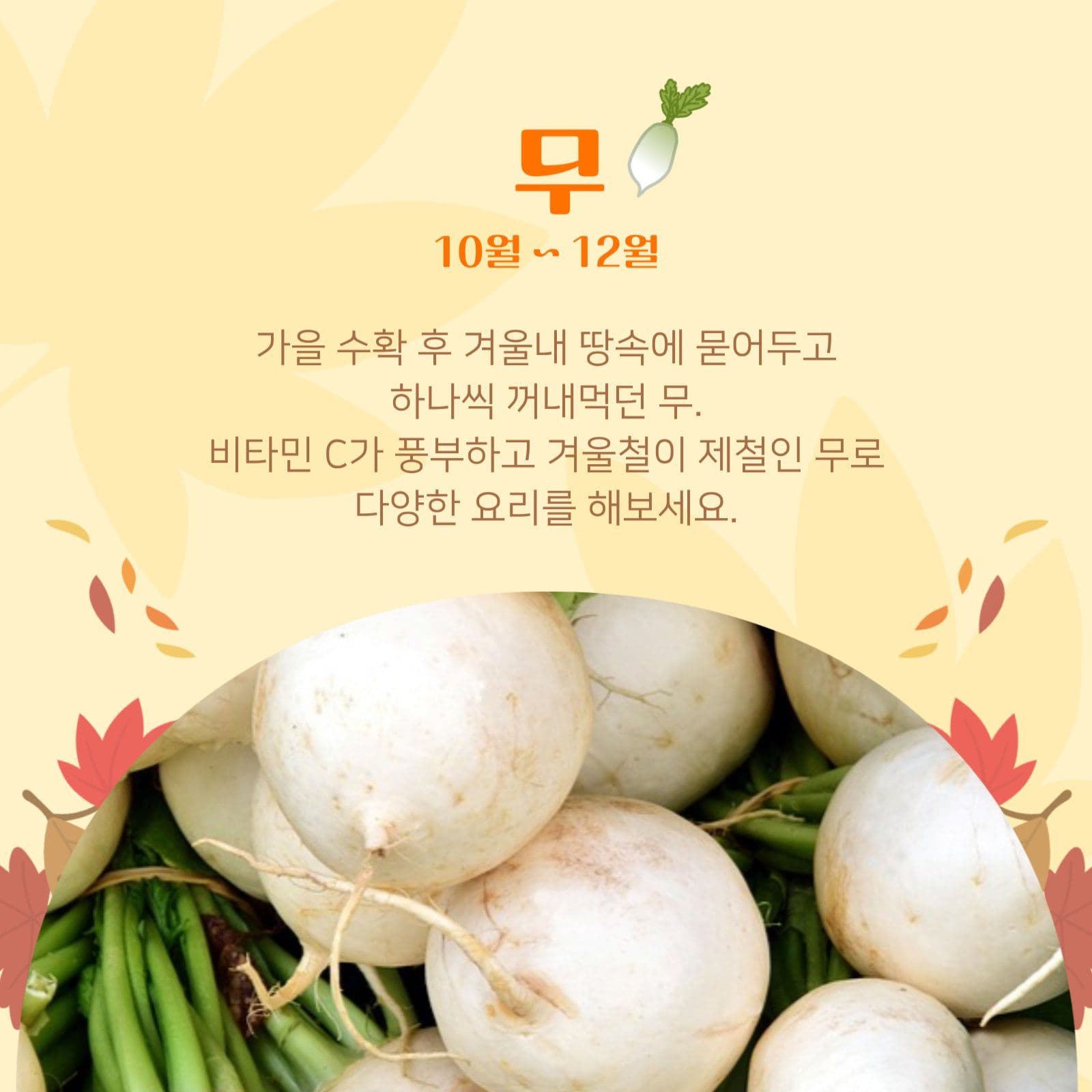 제철이 주는 따뜻한 맛