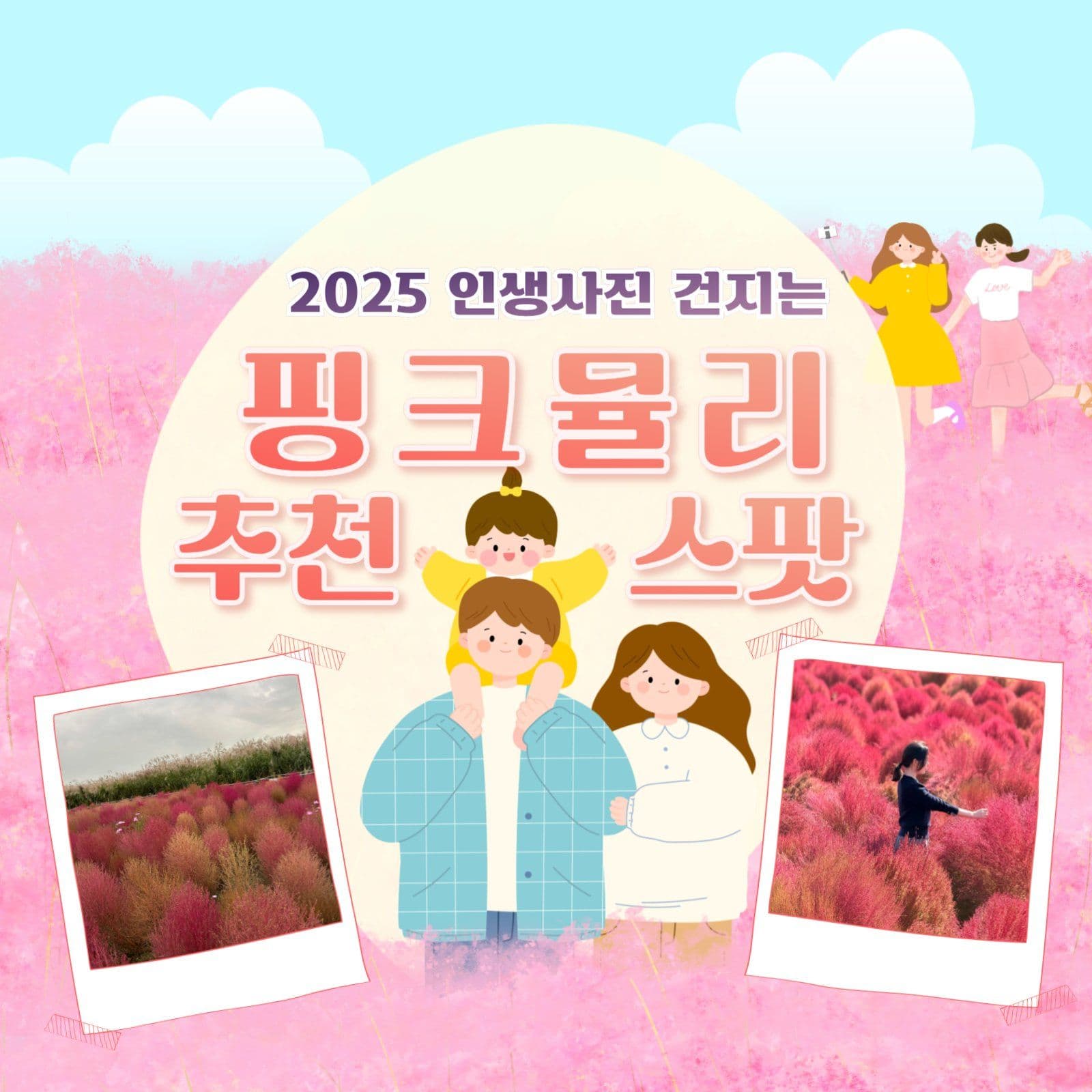 핑크뮬리행사