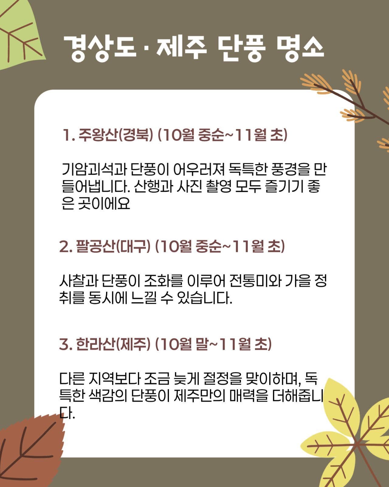 가을 단풍 명소 홍보