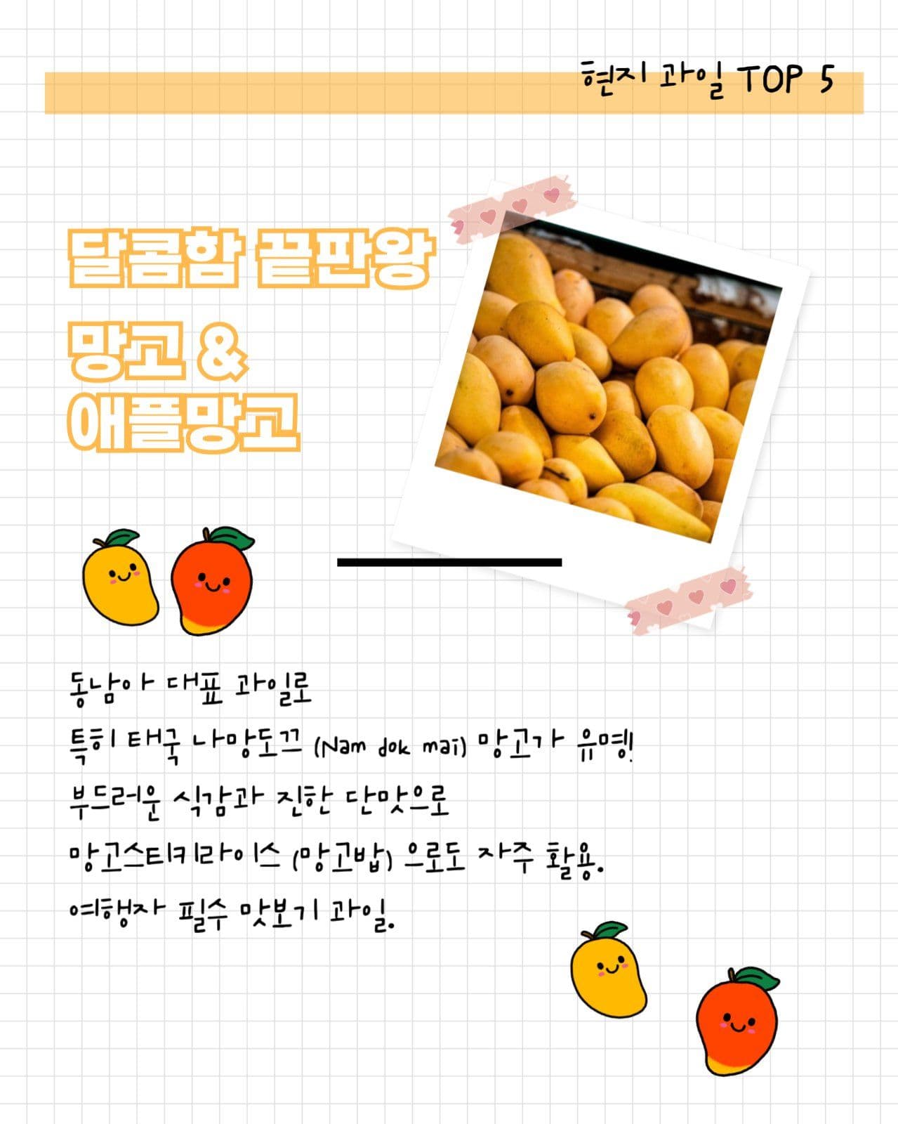 여행지 현지 과일 소개 세로 카드뉴스