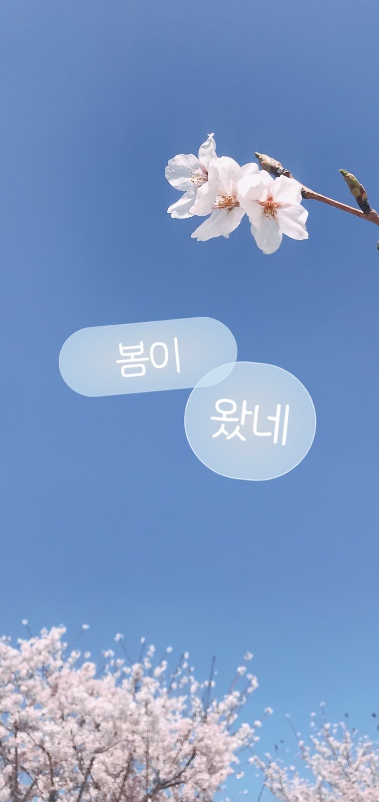 3월 달력 배경