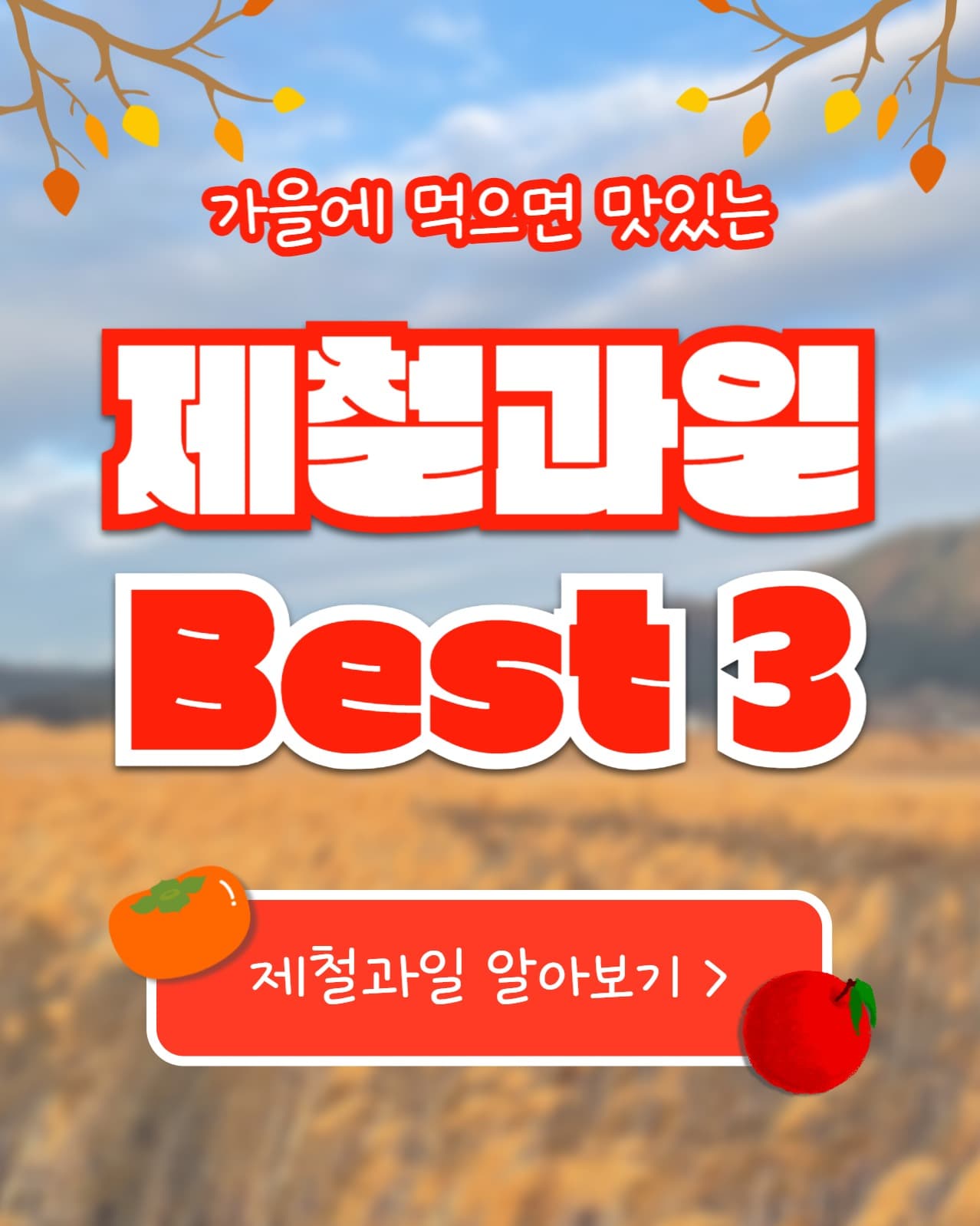 제철과일 Best 3 (인스타 세로)