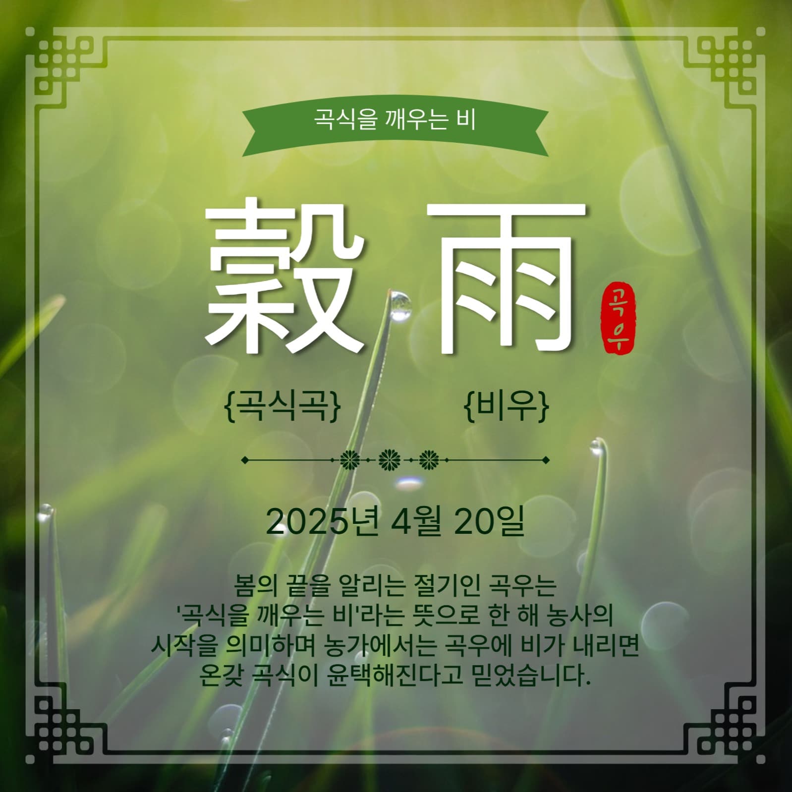 곡식을깨우는비