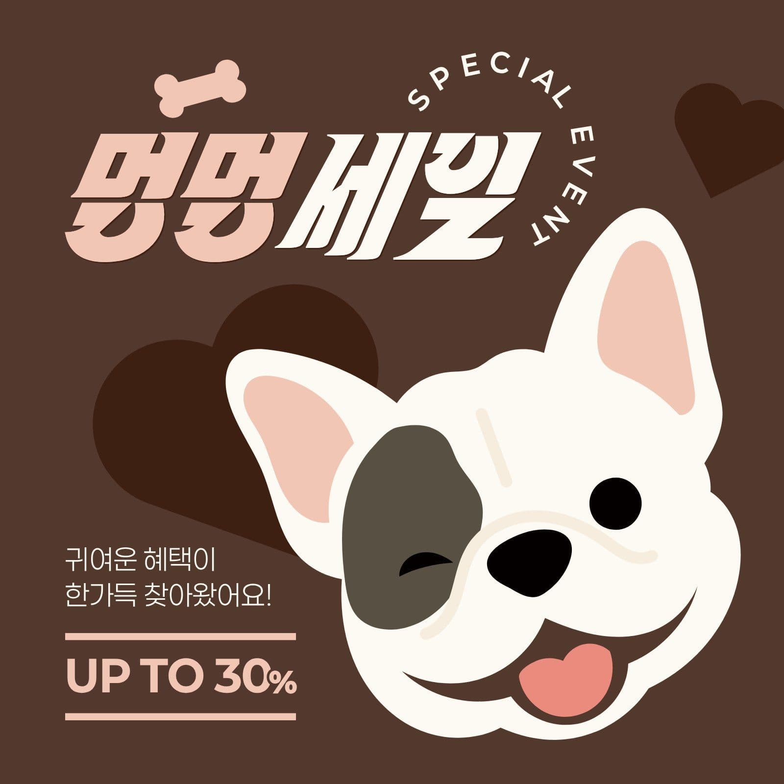 갈색 분홍색 반려견 용품 세일