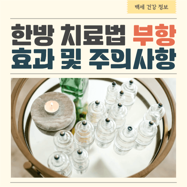 한방 치료법 부항 효과 및 주의사항