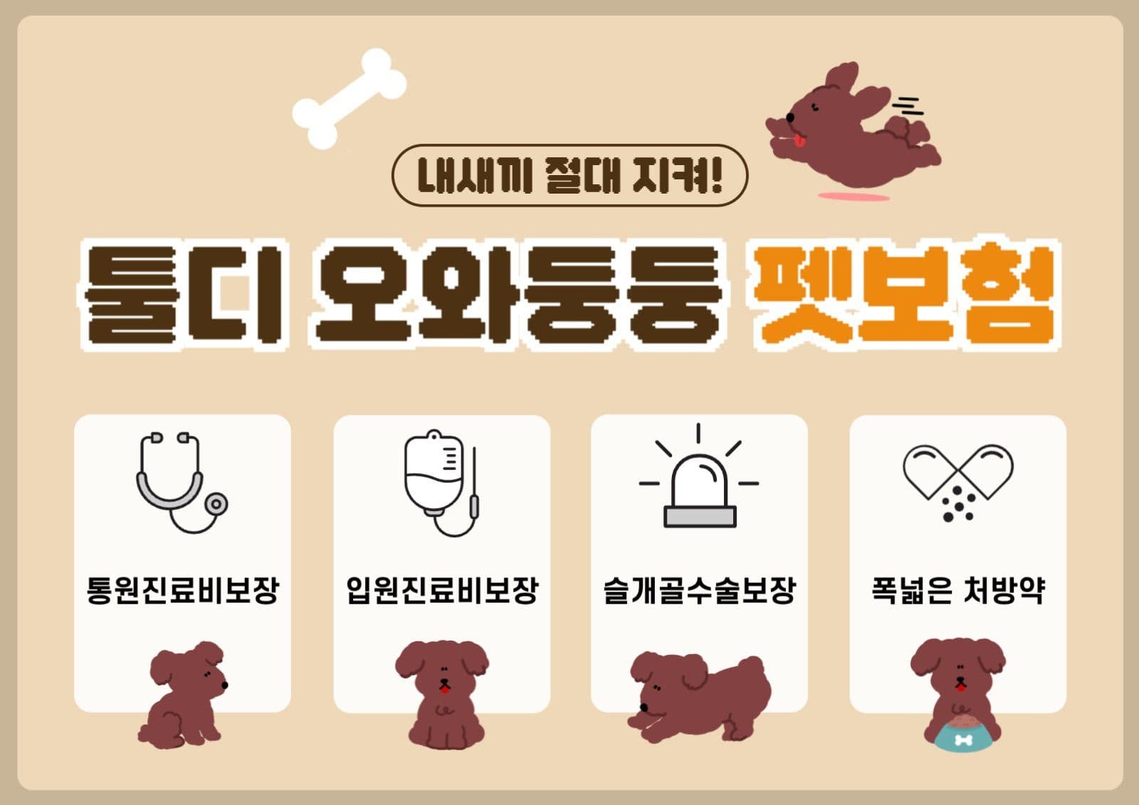 펫보험