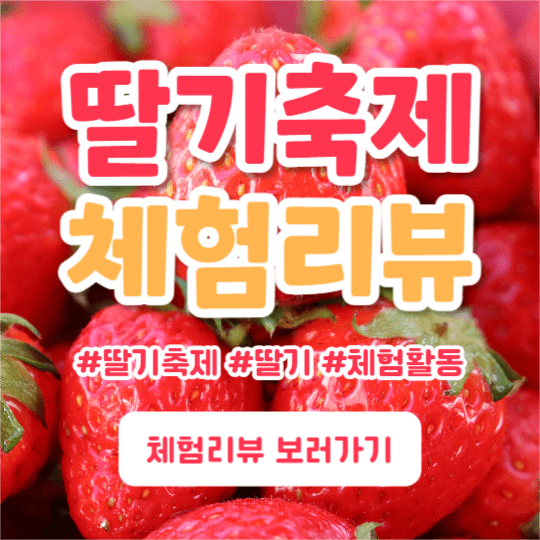 딸기축제 체험리뷰 (페이스북)