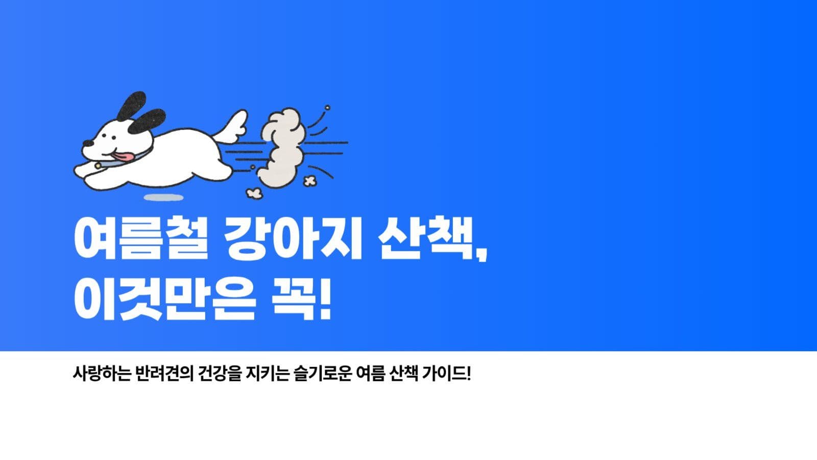 강아지 여름산책 주의사항