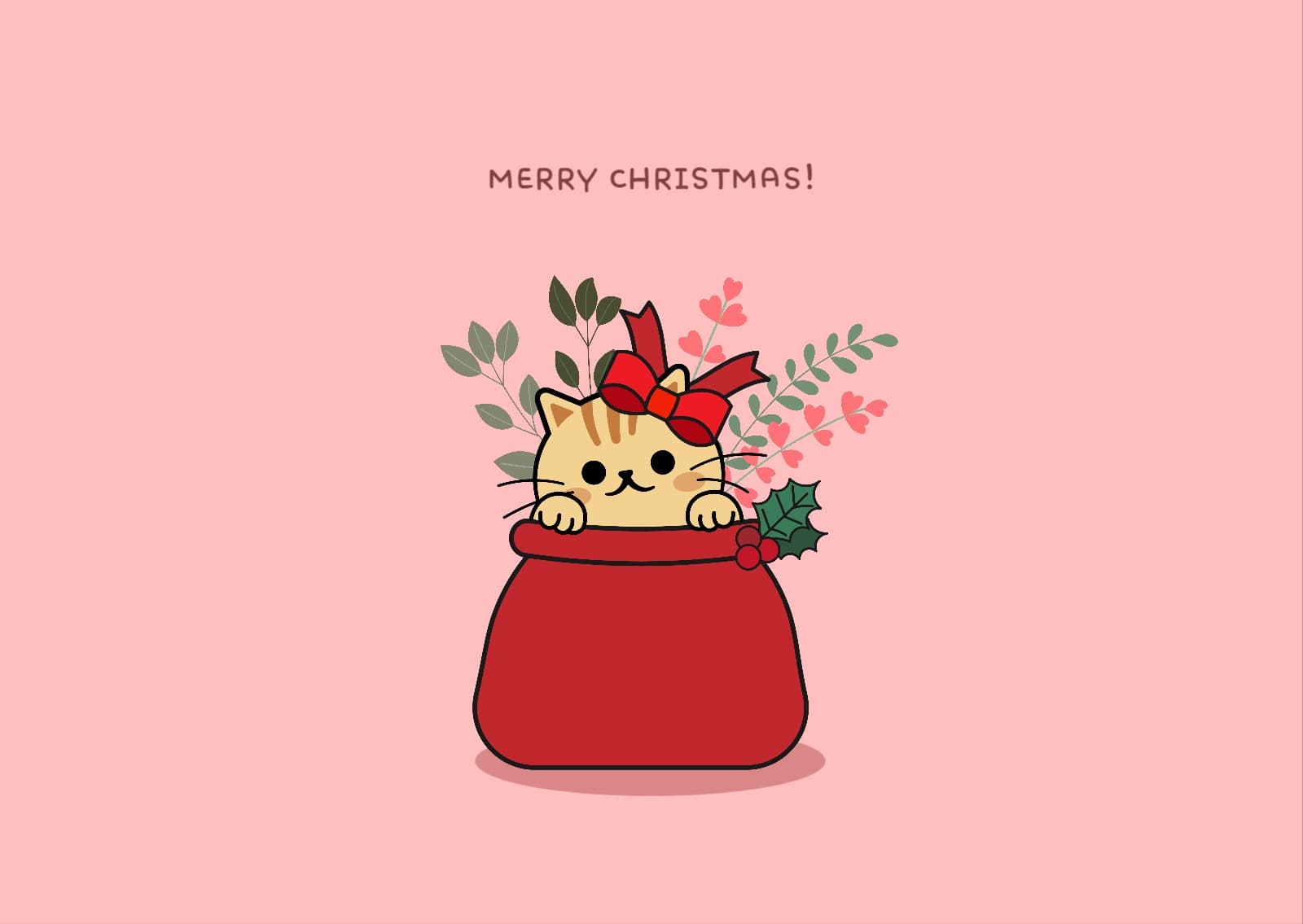 고양이 선물 엽서