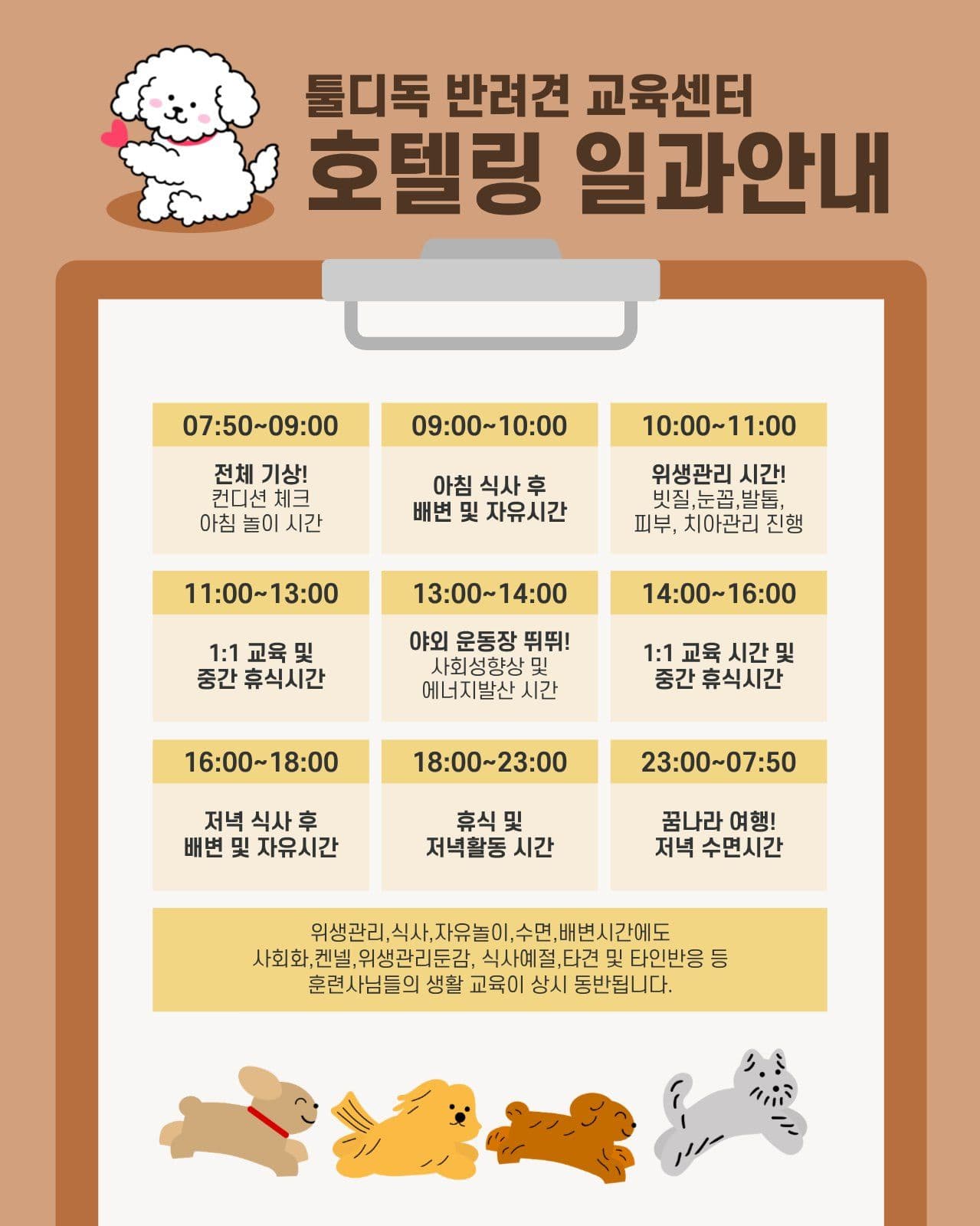애견 호텔 일과안내